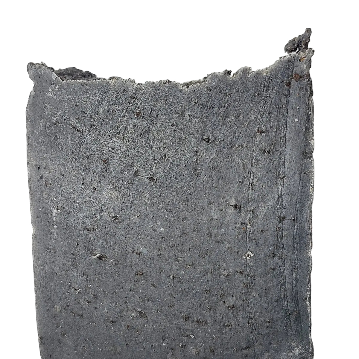 Men's Soap - Filthy Fella Scrub Bar Unscented